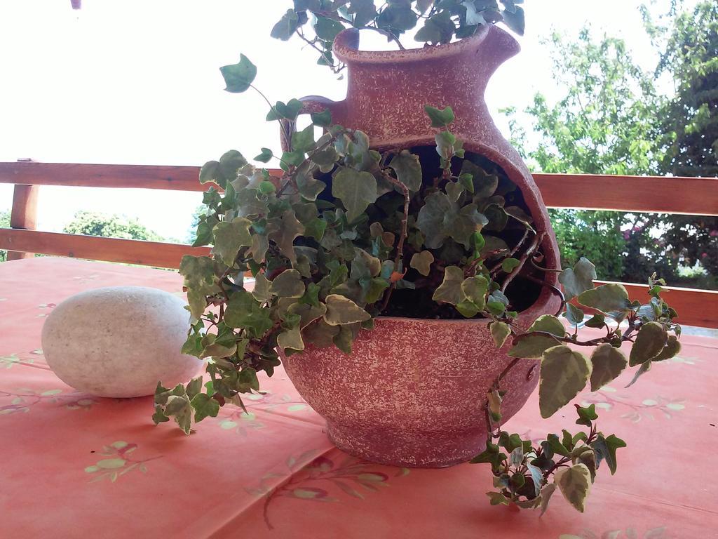 Alkmini Hotel Agios Dimitrios  Bagian luar foto