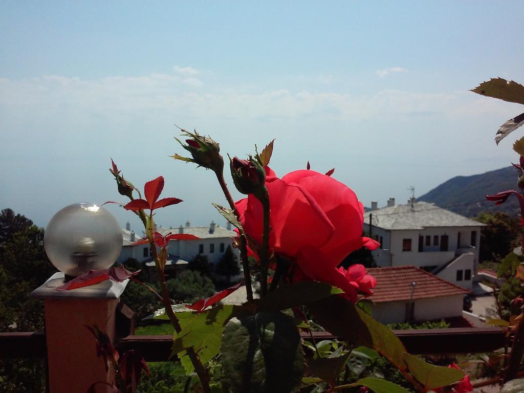 Alkmini Hotel Agios Dimitrios  Bagian luar foto